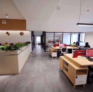Permaidani Lantai PVC Mewah Untuk bangunan Pejabat