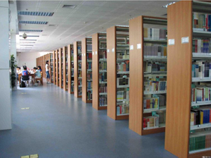 Lantai PVC Bertekstur Tahan Haus Untuk Perpustakaan